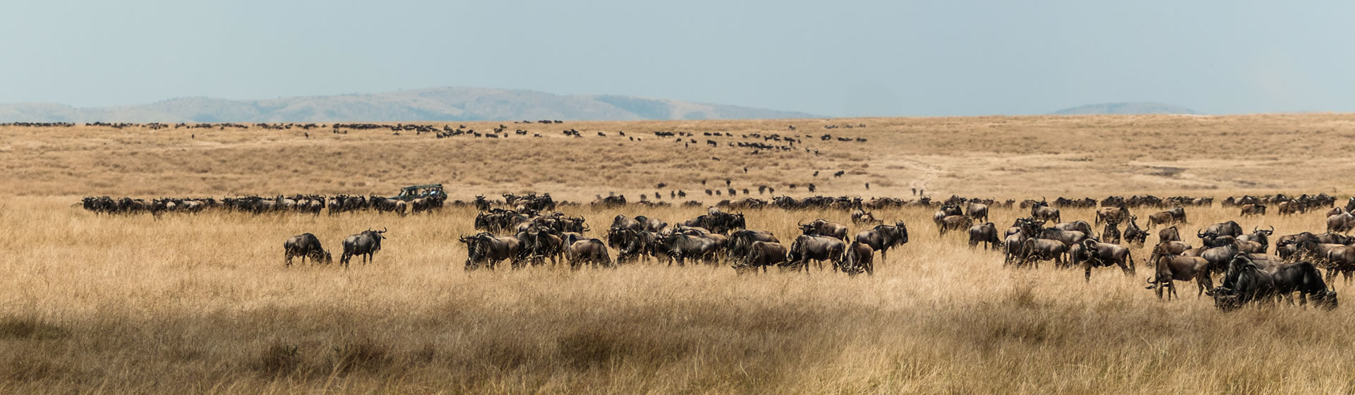 5 Day Aberdares, Lake Nakuru and Mara