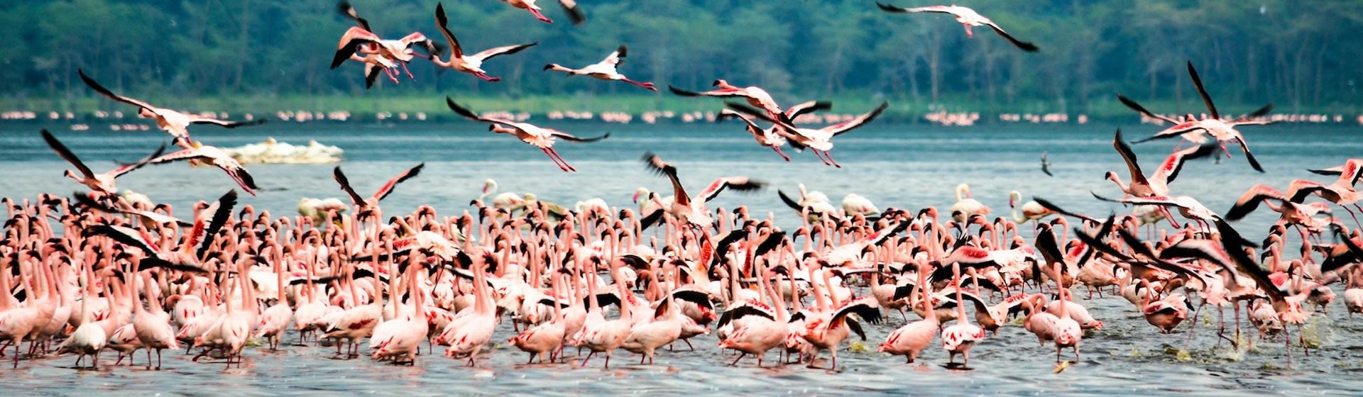 2 Days 1night Lake Nakuru