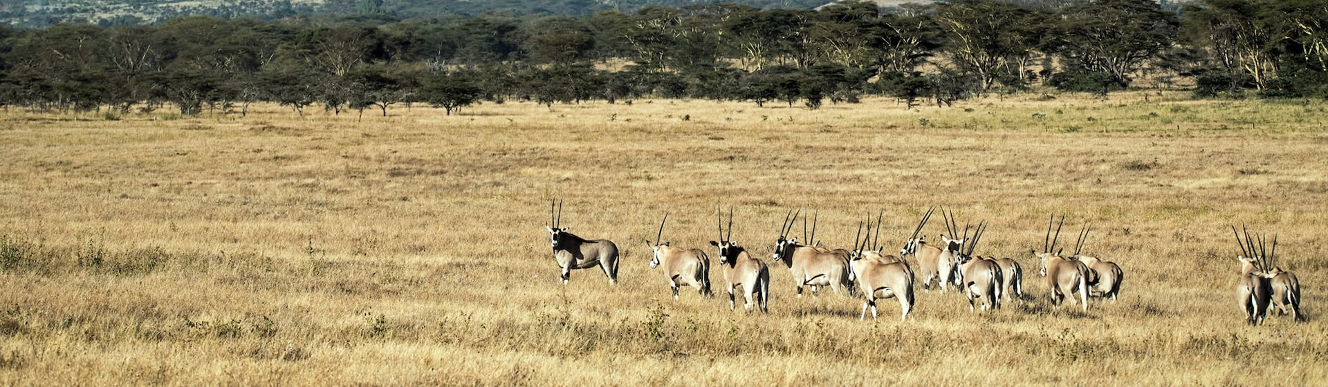 7 Days Samburu, Aberdares, Nakuru & Maasai Mara