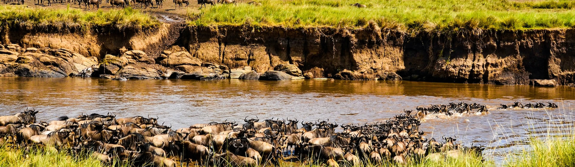9 Days Amboseli, Lake Nakuru, Lake Bogoria, Masai Mara and Lake Naivasha Safari