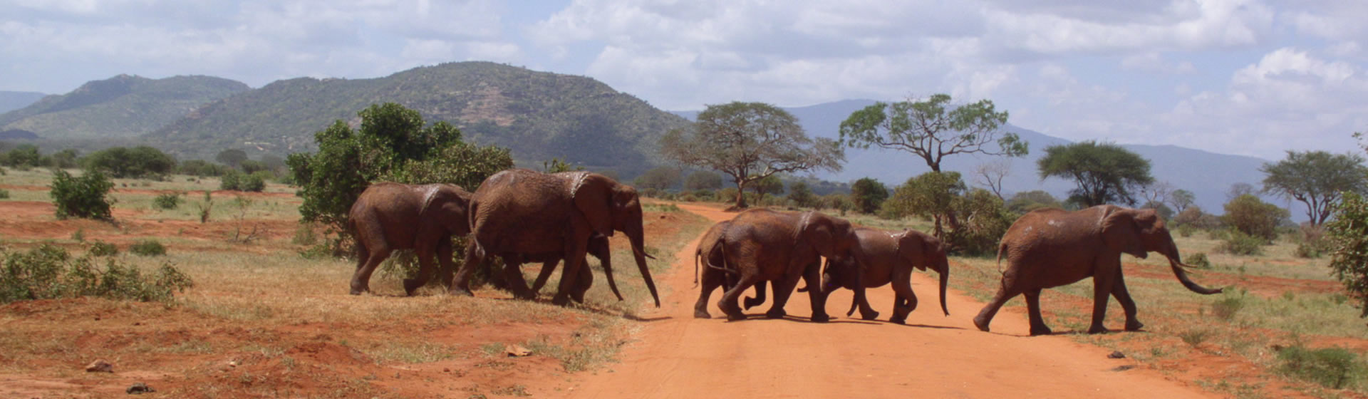4-Days-Tsavo-East-Amboseli-Tsavo-West