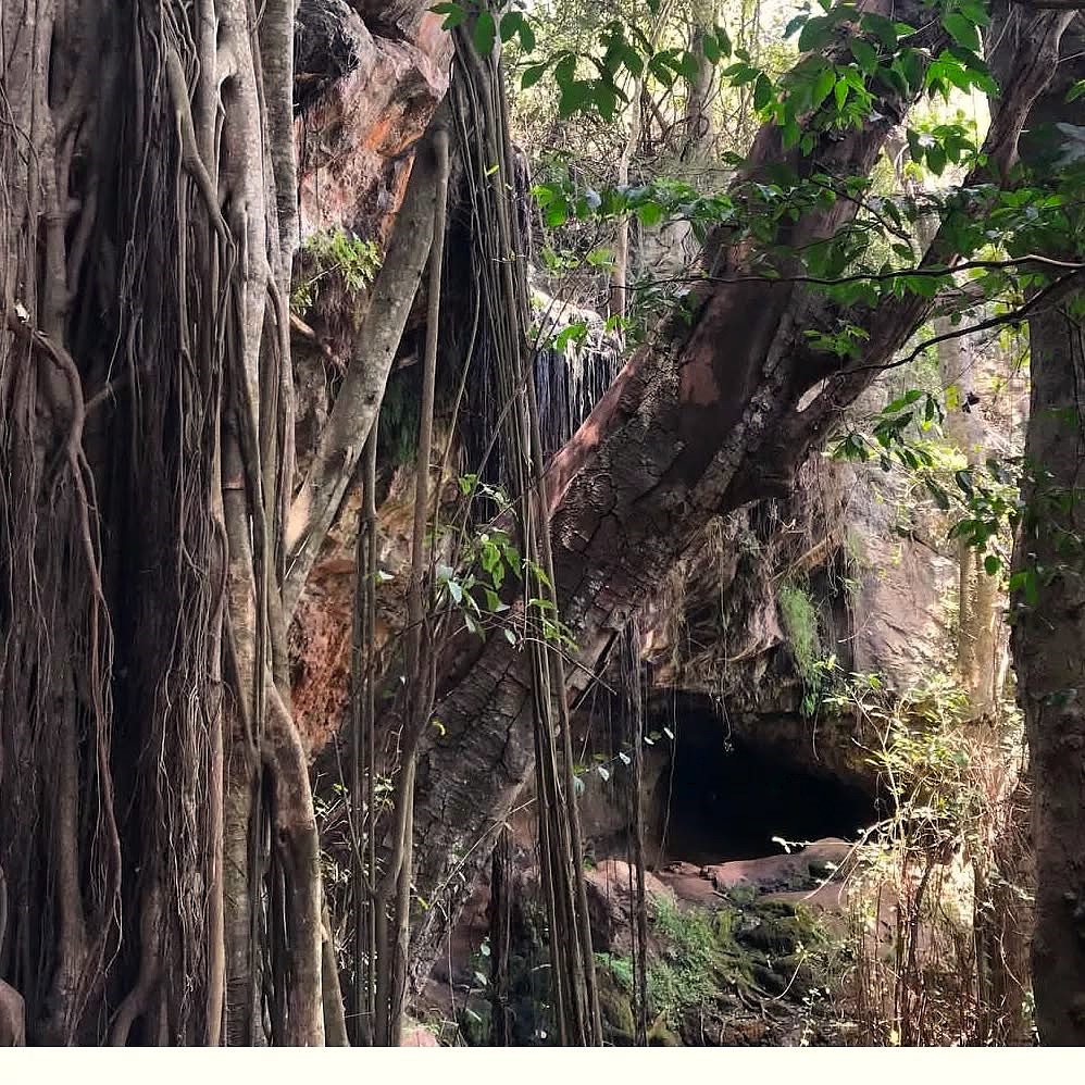 Blossom Kenya Safaris - Paradise Lost